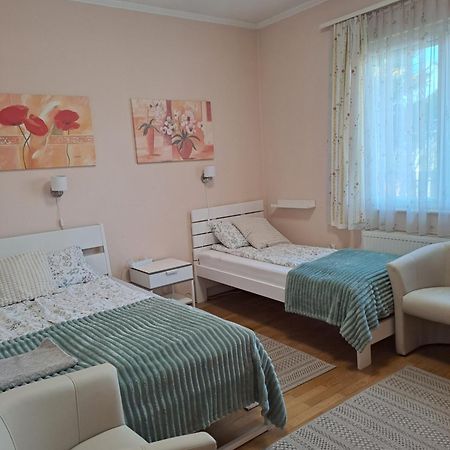 Lena Apartment - Lena Two Bedroom Apartment Vecsés Esterno foto